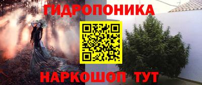 бошки Кимры
