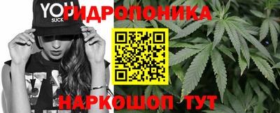 герыч Кингисепп