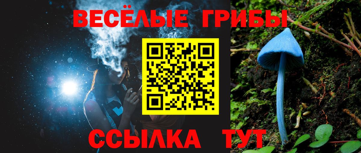 Галлюциногенные грибы Cubensis  Галлюциногенные грибы MAGIC MUSHROOMS  Вход с VPN  Коммунар 