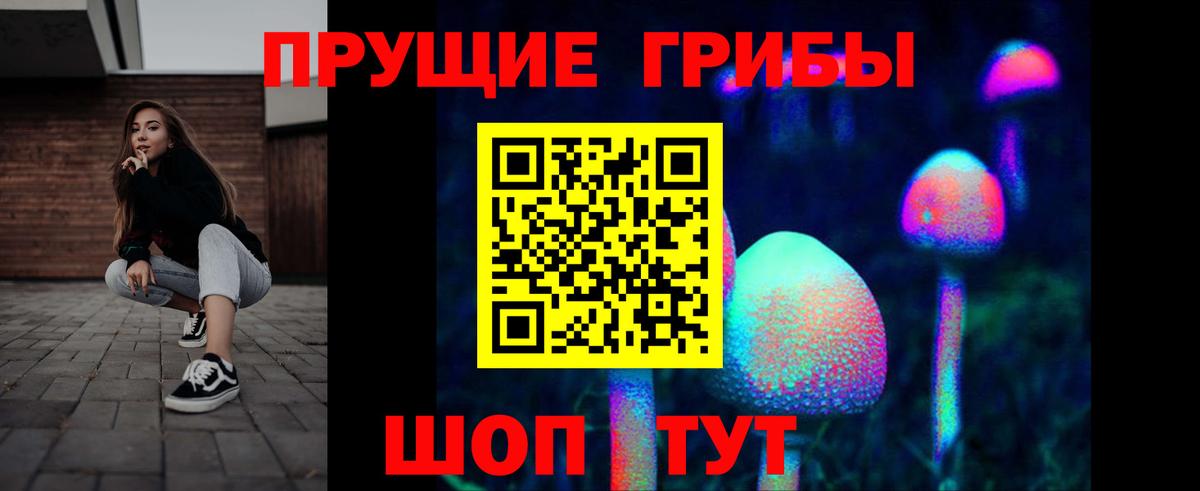 Галлюциногенные грибы мицелий Коммунар